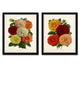 Antique French Dahlias Print Set No. 1