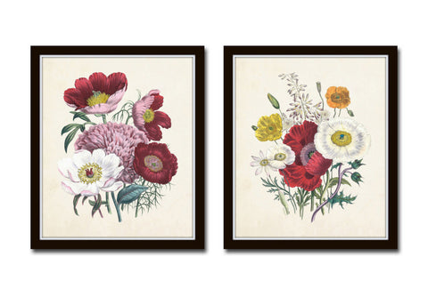 Botanical Floral Print Set No. 32