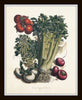 French Vegetable Print Set No. 5