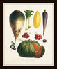 French Vegetable Print Set No. 6