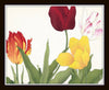 Tulips Floral Print Set No. 3