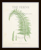 Vintage Ferns Collage Print Set No. 3