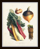 French Vegetable Print Set No. 4