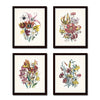 Vintage Wildflowers Botanical Print Set No. 9