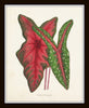Tropical Leaves Botanical Print Set No. 5
