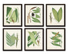Palm Fronds Print Set No. 1