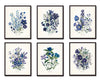 Fleurs de Jardin Print Set No. 6 - Botanical Prints