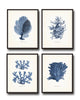 Vintage Indigo Blue Sea Coral Print Set No. 2
