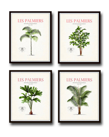 Les Palmiers Vintage French Palm Tree Giclee Canvas Print Set - 4 Prints