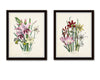 Les Lilies Botanical Print Set