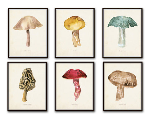 Watercolor Mushrooms Print Set No. 6