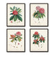 Rhododendron Botanical Print Set No. 2