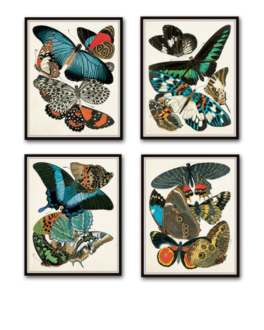 Butterfly Print Set - Seguy Art Nouveau Butterfly Prints