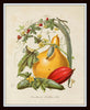 Botanical Tribes Print Set No. 52 - Giclee Art Prints
