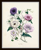 Les Fleurs Print Set No. 7 - Botanical Print Set