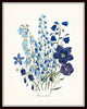 Fleurs de Jardin Floral Print Set No. 13
