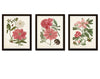 Pink Peony Floral Botanical Print Set