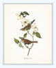 Bird and Botanical Print Set No. 10