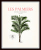 Vintage French Palm Tree Print Set No. 12