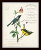 French Aviary Collage Print Set No. 3