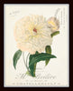 French Botanical Collage Floral Print Set No. 3