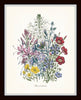 Fleurs de Jardin Botanical Print Set No. 16