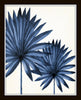 Indigo Blue Watercolor Tropical Leaf Print Set