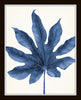 Indigo Blue Watercolor Tropical Leaf Print Set